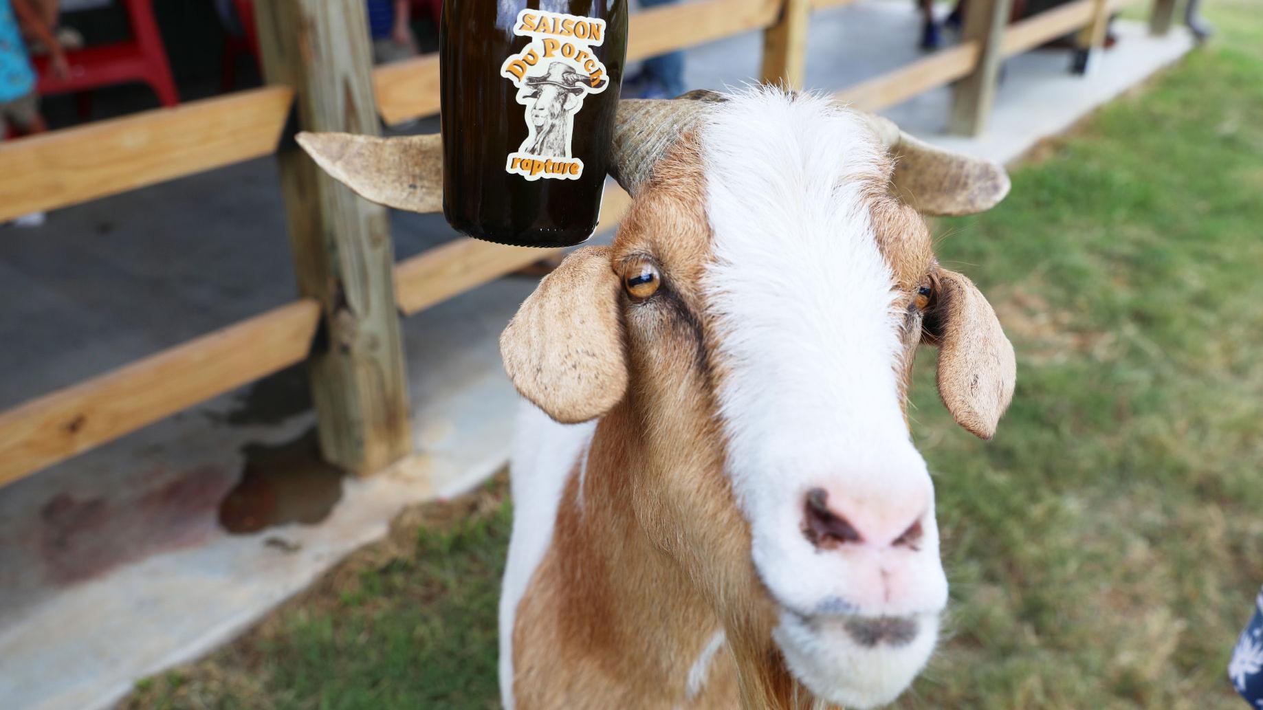 What the Ale: Beer of the Week, Rapture Brewing Co.'s Saison Du Porch